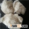 Fine Microns Lambs Wool Waste