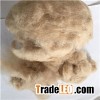Good Quality Camel Cashmere