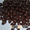 Grape Seed Extract Softgel