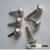 Pearl Brads
