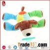 Colorful Dog With Pacifier