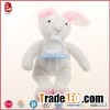 White Rabbit With Pacifier