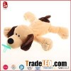 Brown Undressed Dog With Pacifier