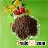 DAP Brown Color