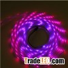 48led 16pixel USC1903 IC Smd 5050 Dream Color Programmable Led Pixel Strip