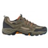 hiking shoes
