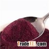 Blueberry Powder / Delicious Blueberry Fruit Extract Powder
