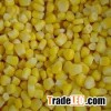 Frozen Sweet Corn