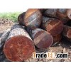 We have African Hard wood Timber available