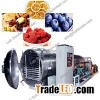 Food Freeze Dryers Fruit Drying Machine Health Care Products Freeze Dryer Supplier