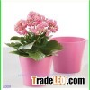 Top Selling 2013 Of Bonsai Pots