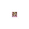 security smart card, plastic transpaperent card