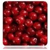 Frozen Sourcherry