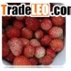 Frozen Wild Strawberry