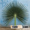 Camouflaged Palm Fronds for Artificial Fan Palm Tree