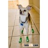 dog socks