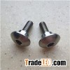 Titanium Carriage Bolts