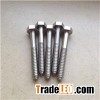 Titanium Self-tapping Screws
