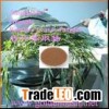 Bamboo Leaf Extract