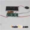4.3 LCD Module