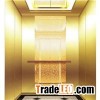 VVVF Elegant Home Elevator