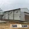 Commercial Chicken House
