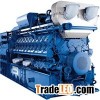 MWM Natural Generator