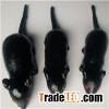 TPR Material Big Sticky Mouse Toy