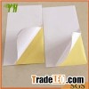 Cast Coated Self Adhesive Paper