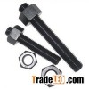 Stud Bolt Hex Nut