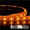 Nuova Neon LED striscia