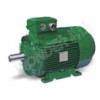 SWE SERIES(IE3) THREE PHASE PREMIUM EFFICIENCY MOTORS