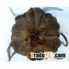 Corsage