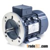 Leeson DC TEFC High Efficiency Motors