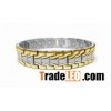 Germanium titanium bracelet