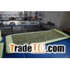 thermal energy jade therapy mattress