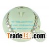 drilled natural purple freshwater coin pearl jewelry necklac