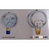 Liquid Filled or Fillable Gauge ( Brass internal-wika type)