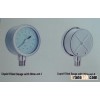 Liquid Filled Gauge with Blow-out