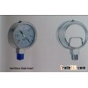 Liquid Filled or Fillable Gauge (St St internal-Wika Type)