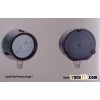 Liquid Filled Process Gauge