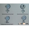 Diaphragm Chemical Seal Pressure Gauge
