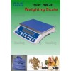 Electronic Weighing Scale