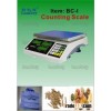 Electronic Counting Scale