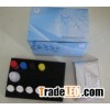 Human Cyclin-D1 ELISA Kit