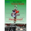 Heatproof Crane Scale
