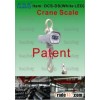 Outdoor Crane Scale
