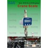 Electronic Crane Scale