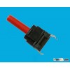 Bottom Switches