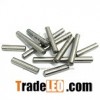 Precision Stainless Steel Dowel PIN For Mold Parts (ZOOM)